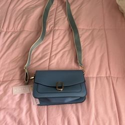 Blue Purse