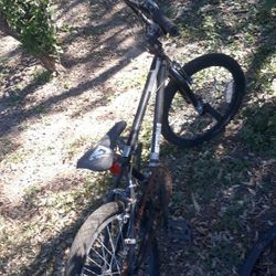 Mongoose Bike And Pulga  Cart