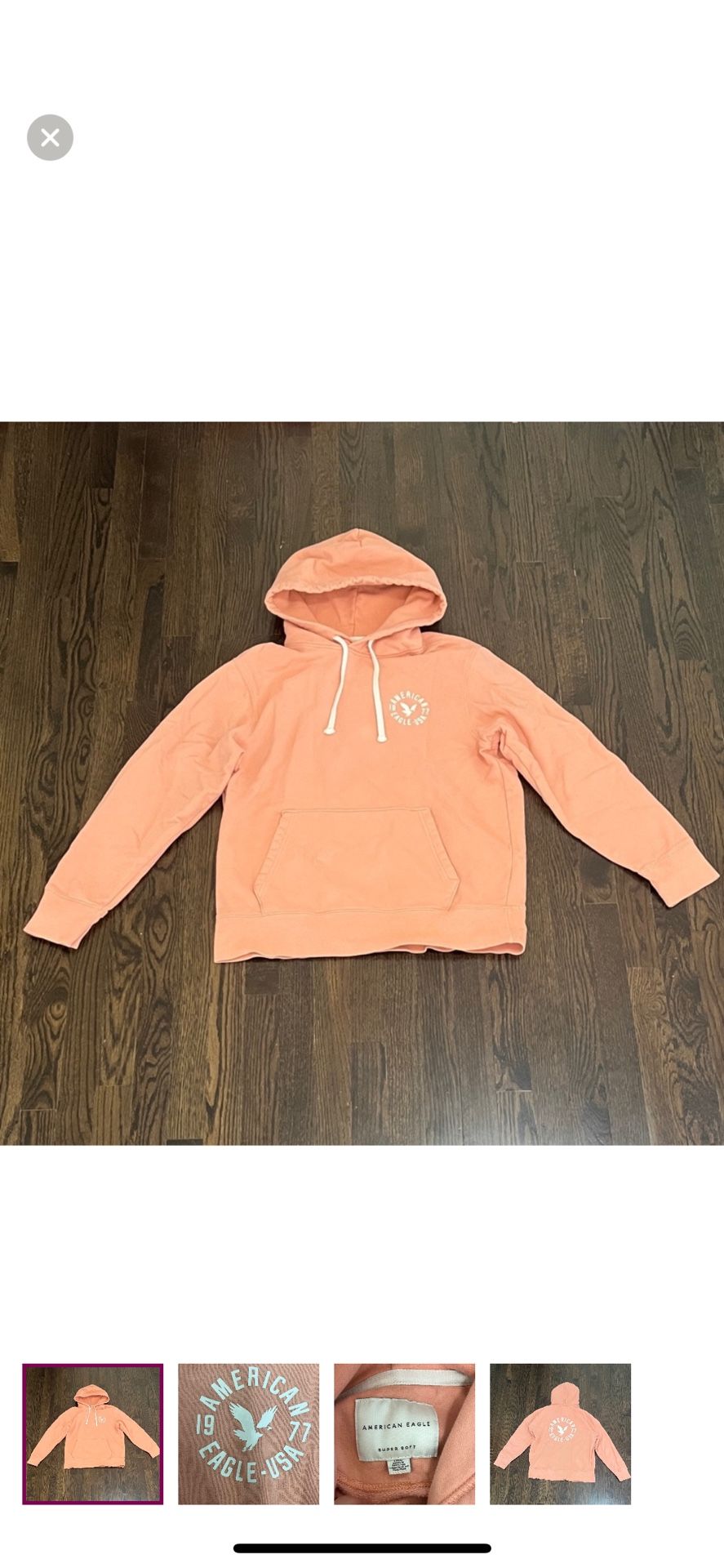 American Eagle Outfitters (Salmon color) Graphic Hoodie