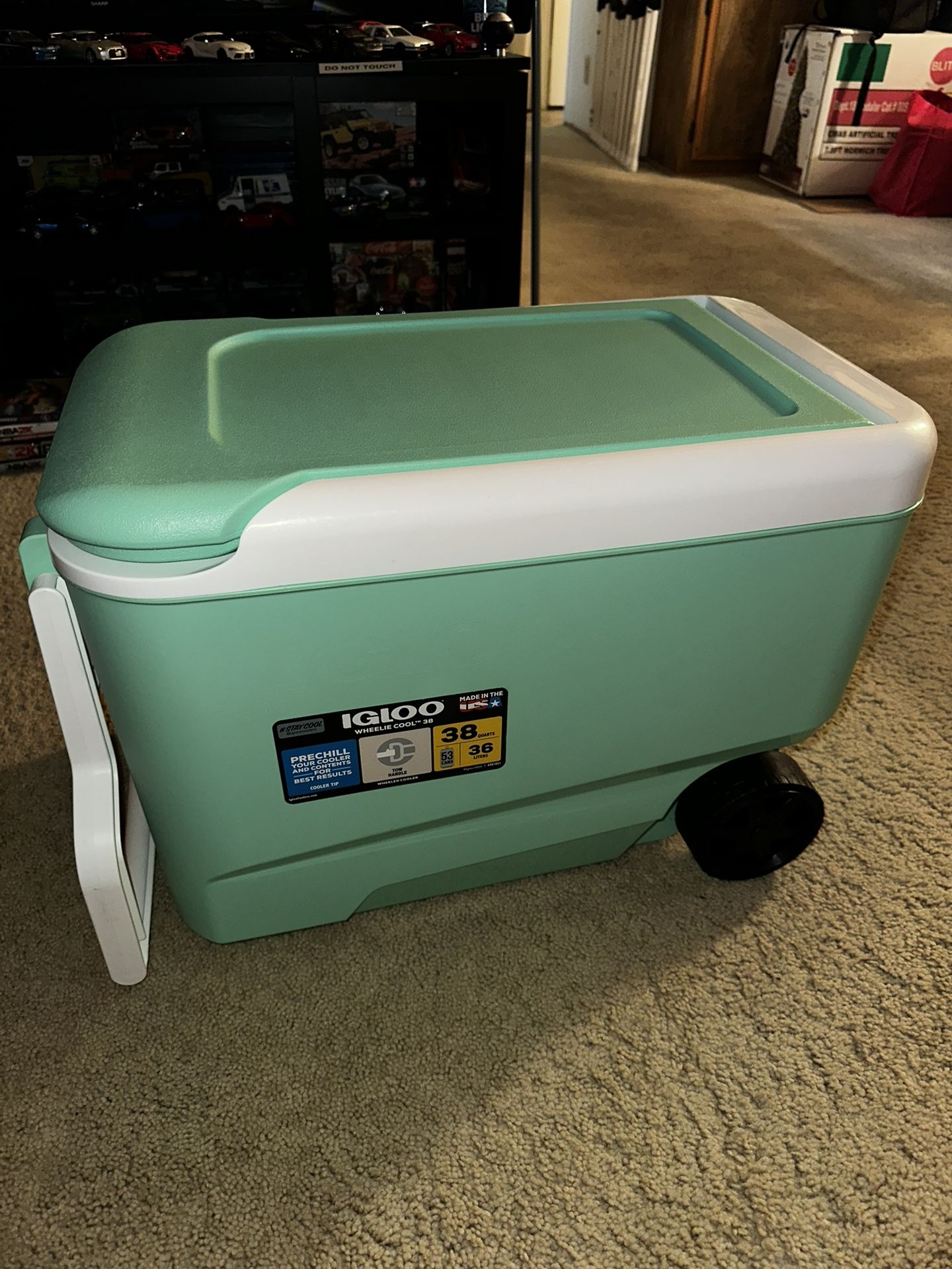 Igloo Cooler