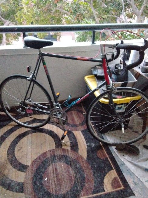1980s Miyata . Mint Frame