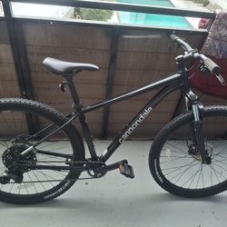 Cannondale & Ozark Park 29" For Sale