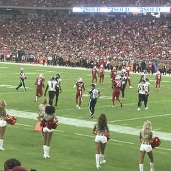 Los Angeles Rams @ Arizona Cardinals Row 12 Home Side.