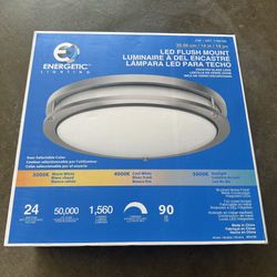 Energetic Lighting 14-inch Double Ring LED Flush Mount Ceiling Light