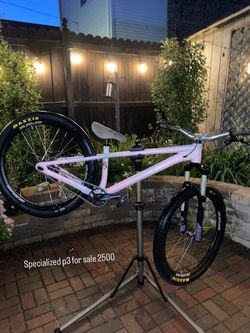 Specialized P3