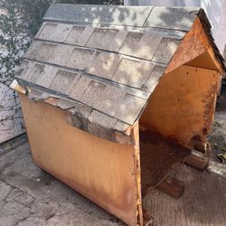Dog House 