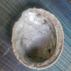 Avalone Sea Shell (large)