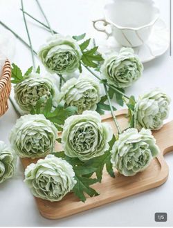 Peony Flowers