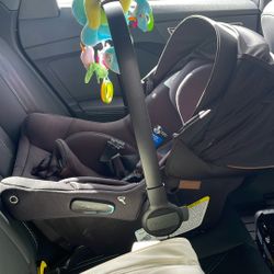 Nuna Carseat