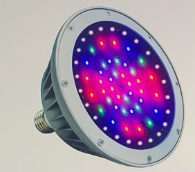 LED Pool Lights