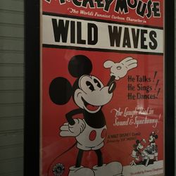 Mickey Mouse Collection 