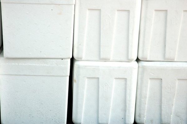 Styrofoam boxes free. Have about 10 or so