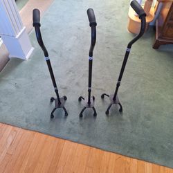 Walking Cane