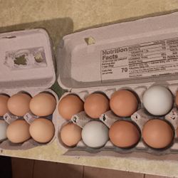 Fresh Farm Eggs
