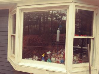 Bay Window