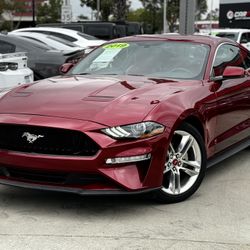 2019 Ford Mustang