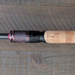 Daiwa Steez Ags "The One"