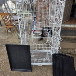 Bird Cage