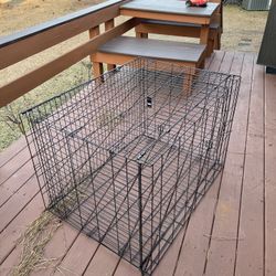 Dog Cage