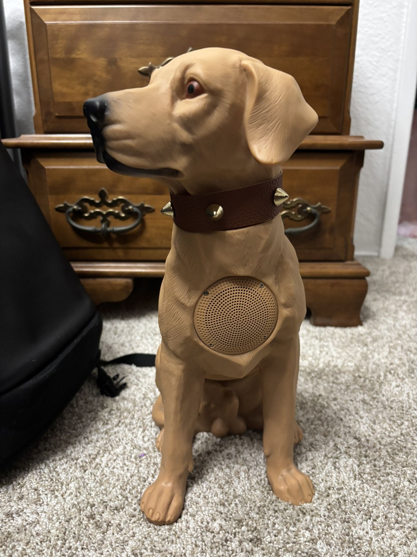 Bluetooth dog speaker