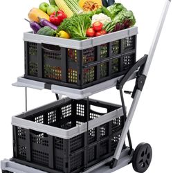 Grocery Store Basket