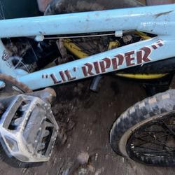 RARE BABY BLUE Lil Ripper SE