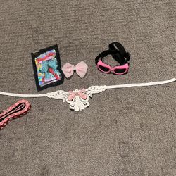 Misc dog Accessories 