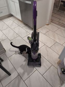 Bissell CleanView Upright Vacuum Cleaner