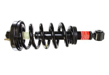 371139 Suspension Strut and Coil Spring Assembly