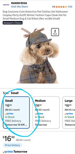 Cat Dog Pet Detective Costume