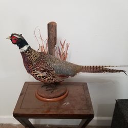 Collectible Statue Decoration Quail