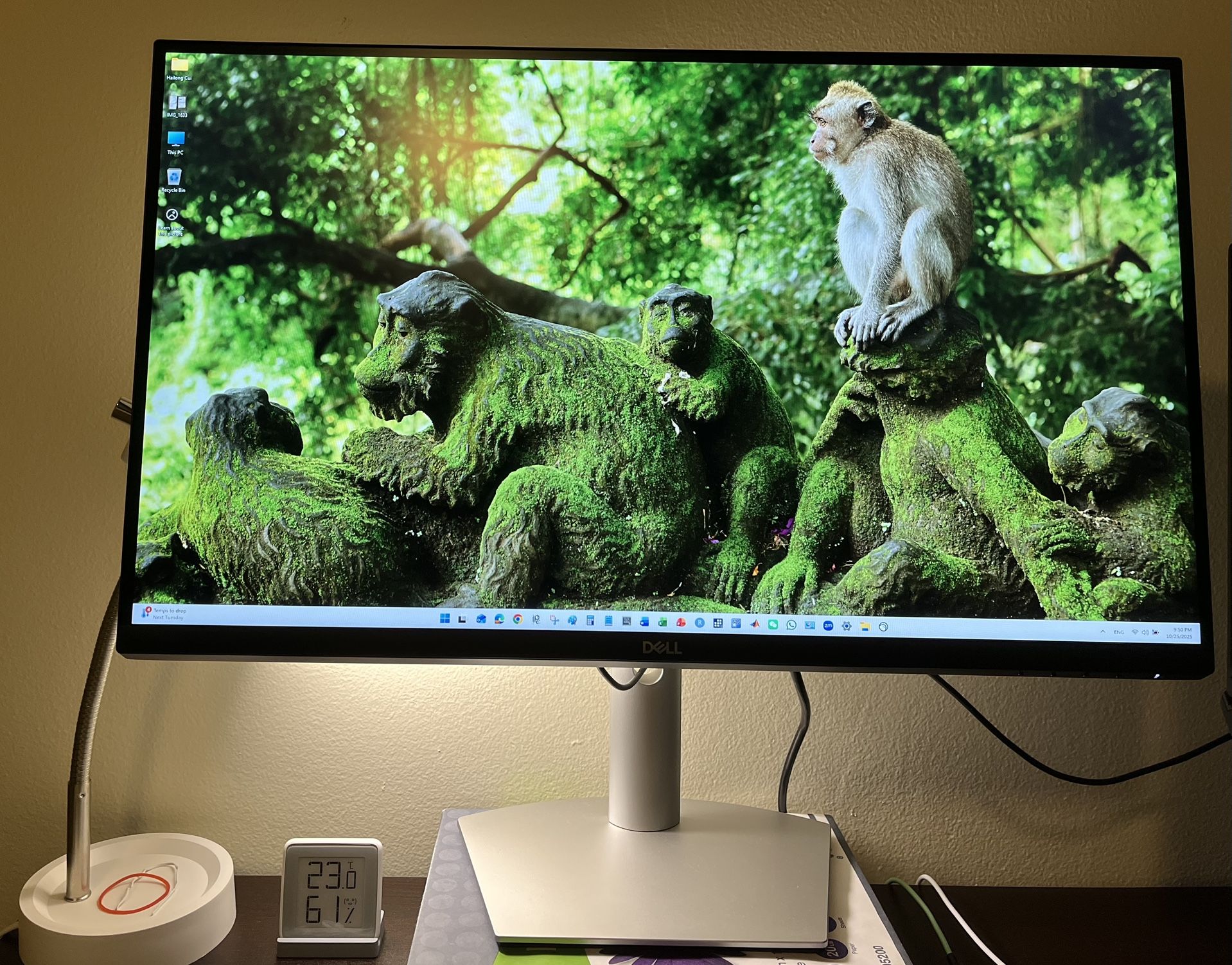 Dell 27 Monitor 1440p