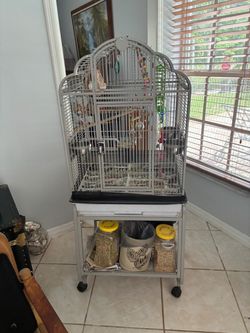 Bird cage