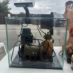 2.5 Gallon 1 Foot By 1 Foot Fish Tank 