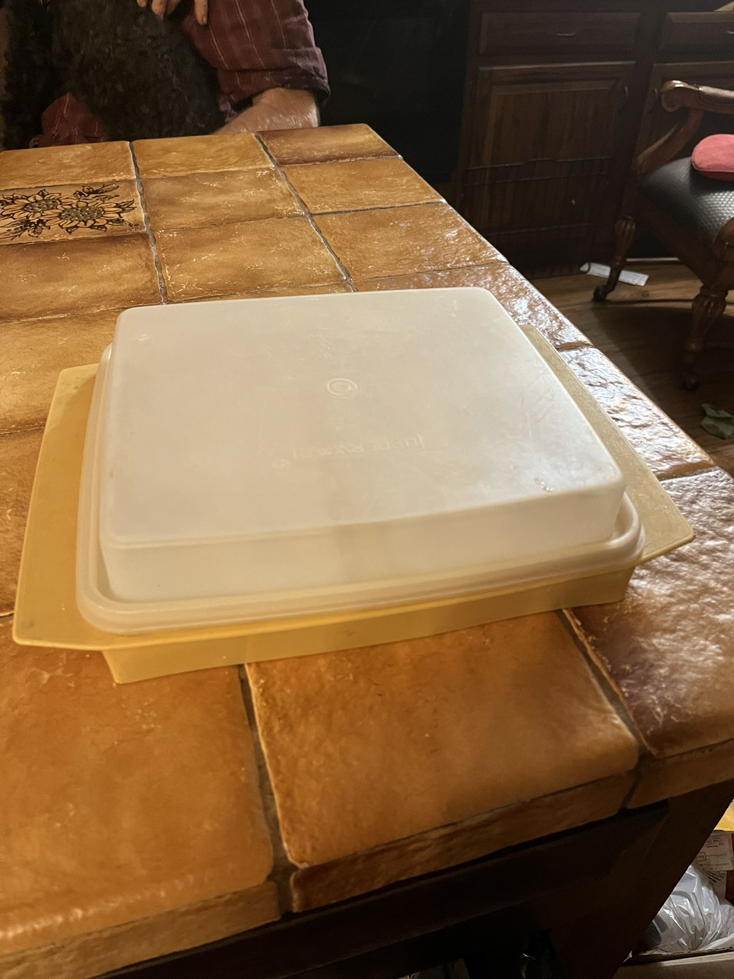 Tupperware Egg Holder