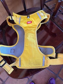 Dog harness.