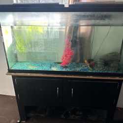 100 Gallon Fish Tank/stand 