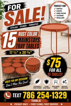 🟠 15 Rust Color Mainstays Tray Tables – $75 for All!