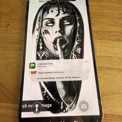 iPhone 13 Pro Max 256 G 