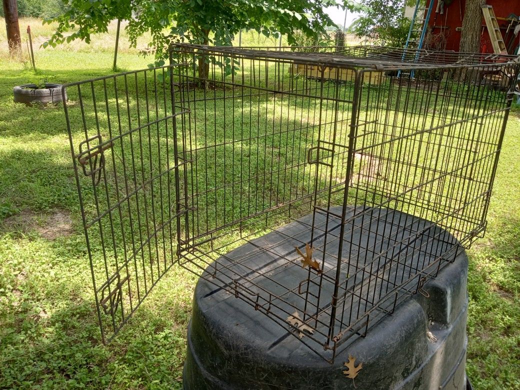 Cages For Medium Dogs   