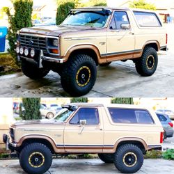 1981 Ford Bronco