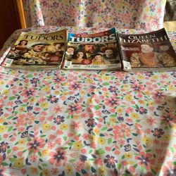 The History Of The Tudors 