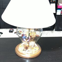 Beautiful Butterfly Rare Lamp 