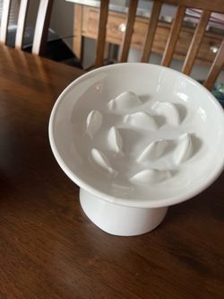 Raised slow pet bowl