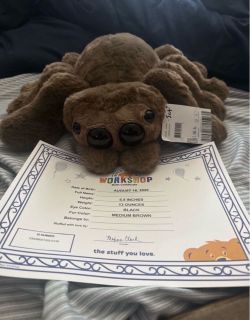 Build a bear spider