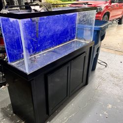 55  Gallon Aquarium And Stand