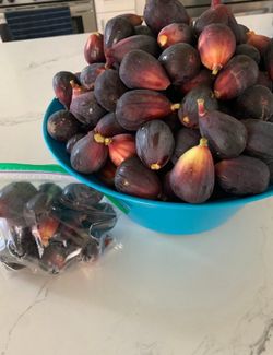 Fresh figs/higos frescos