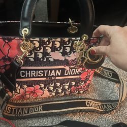 Dior Purse Canvas With Dust Bag And Authenticity Card