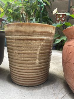 *prices vary per pot* Potted Plant Terracotta Pot