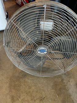 Fan